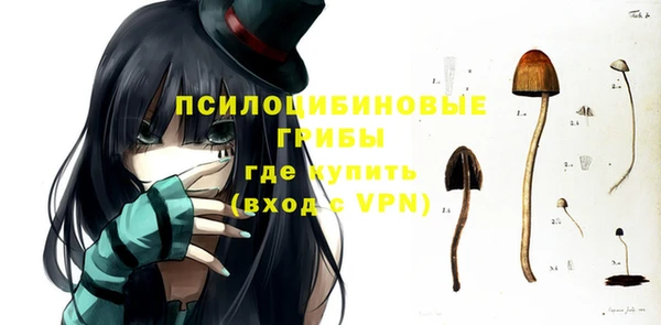 метадон Богородицк